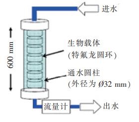 中浩遠(yuǎn)達(dá)|微生物黏膜形成率（BFR）