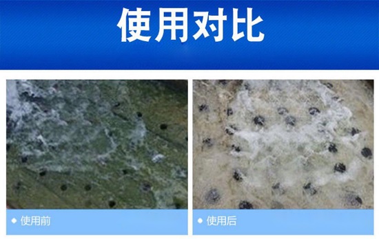 中浩遠達|無磷水處理方案微生物控制部份