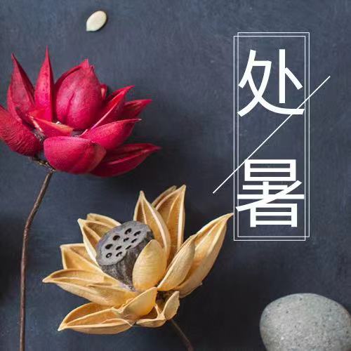 處暑|四時俱可喜，最好新秋時